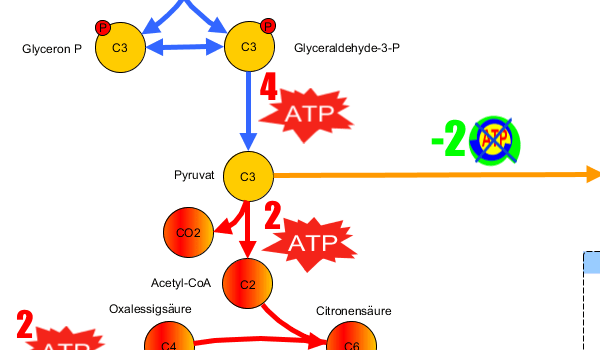 yEd Gallery of User-created Diagrams